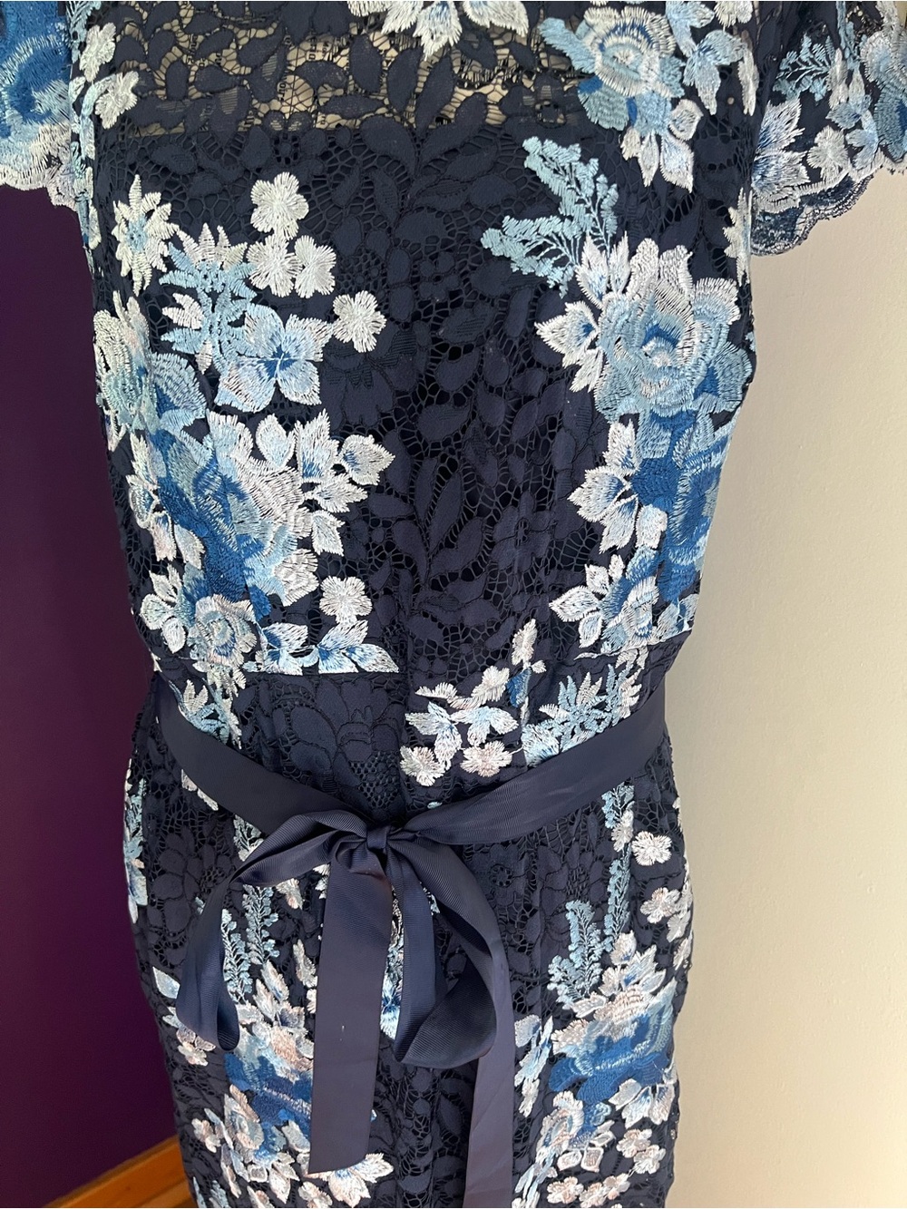 Adrianna Papell Navy Plus Size Maxi Gown with Blue Floral Embroidery - Picture 3 of 11